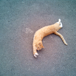 搡老岳熟女岩崎千鹤
